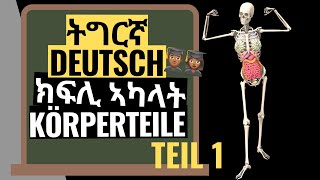 Tigrinya Deutsch  Körperteile ክፍሊ ኣካላት Teil 1 NEU [upl. by Nomor856]