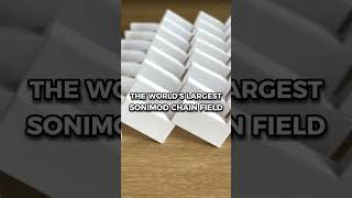 20000 dominoes to set a GUINNESS WORLD RECORDS™ title pt 1 [upl. by Amsirac]