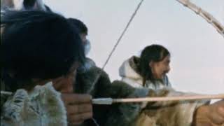 Tuktu 8 The Magic Bow Inuit hunting with bow and arrow [upl. by Ferrick]