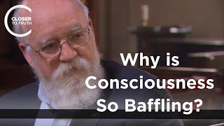 Daniel Dennett  Why is Consciousness So Baffling Part 22 [upl. by Georgiana58]