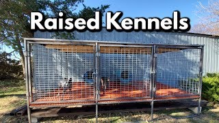 Professional Raised Dog Kennel build [upl. by Zilvia]