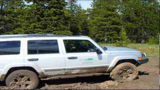 GL4X4 Mud Winch Fest [upl. by Aneehsirk]