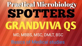 Microbiology Practical MbbsMicrobiology Spotters Mbbs1  Grand viva question 1cbme [upl. by Azriel]