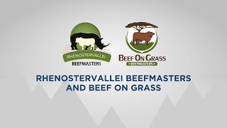 Rhenostervallei Beefmasters  14 September 2024 [upl. by Munster325]