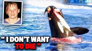 The Horrifying Last Moments of Seaworld Trainer Keltie Byrne [upl. by Narmi]