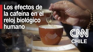 Cafeína La importancia de estudiar sus efectos  Entrevistas CNN [upl. by Johnath]