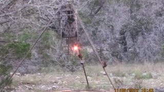 Grande Hunts 24 Texas Hill Country Deer Season Opener [upl. by Hnim]