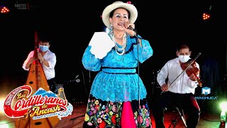 CHIMAYCHIS DE ORO CON MARITA MEZA Y LOS CORDILLERANOS DEL CHIMAYCHI [upl. by Eniarrol]