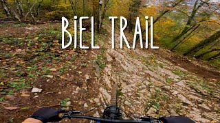 Biel Trail Magglingen  Downhilltrail in Bern [upl. by Chainey]