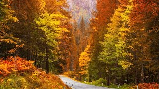 Beautiful Relaxing Music Peaceful Soothing Instrumental Music quotGolden Autumn Octoberquot By Tim Janis [upl. by Refinaj]