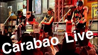 Carabao Live Made in Thailand [upl. by Anoyk]