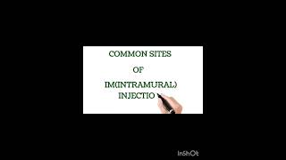 Common sites of IM injectionshortvideo shortvideo [upl. by Eniksre]