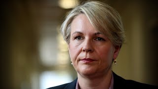 Calls for Tanya Plibersek to ‘hand information’ over to Orange Aboriginal Land Council [upl. by Bealle]