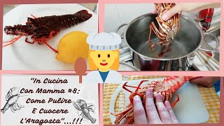 quotIn Cucina Con MammaCome Pulire E Cuocere L Aragostaquot [upl. by Voletta]