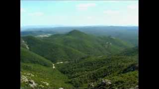 Alexandroupoli national parks Dadias forest and Evros Delta [upl. by Clarine]