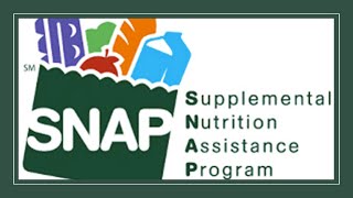 SNAP Food Stamps 101 [upl. by Demha846]