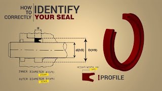 Hydraulic seals made simple [upl. by Elpmid907]