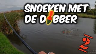 6 SNOEKVISSEN MET DE DOBBER2 [upl. by Teodoro987]