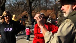 St Louis Zoo interpreter brings animals closer [upl. by Loux]