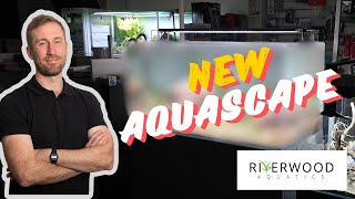 Planted River Aquarium  The Easy Way [upl. by Fisken]