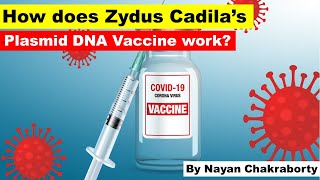 How does Zydus Cadila’s ‘plasmid DNA’ vaccine workUPSCIASCSE [upl. by Airat]