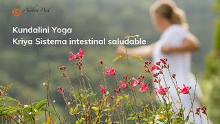 Kundalini Yoga Sistema intestinal saludable [upl. by Yelsiap]