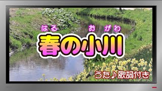 【ぽんちゃんのうた♪】唱歌『春の小川』を歌ってみたよ♪ [upl. by Ogeid]