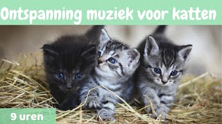 8  Ontspanning muziek voor katten 🐱 ontspannen muziek voor katten en Kittens 🐱9 uren [upl. by Flower]