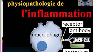 Inflammation Aiguë et Chronique Physiologie et Physiopathologie [upl. by Ayad]