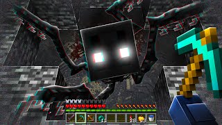 Was ist UNTER einer MINECRAFT WELT [upl. by Ittak973]