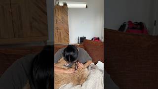 At home dog teeth plaque removal 🦮🐶🦷 [upl. by Asirralc913]