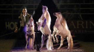 Tribute to Templado Cavalia [upl. by Carper]