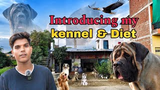 The Best Dog Kennels amp Diets For Your Wallet rahulpets [upl. by Anitsua]