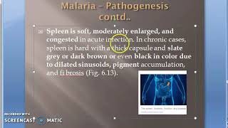 Parasitology 075 h Plasmodium Malaria Pathological Changes Febrile paroxyms Pathogenesis clinical [upl. by Nomelc]