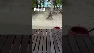 Medhufushi island resort maldives youtubeshorts youtube honeymoon couple climatechange love [upl. by Beverle]