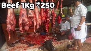 250 രൂപക്ക് ഒരു കിലോ ബീഫ്  Beef market in Kerala  Meat Market in Kerala  Beef  Meat  mutton [upl. by Stephania]