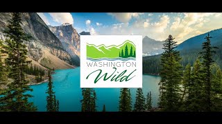 Washington Wild 40 Year Anniversary Video [upl. by Kenaz]