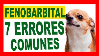 07 Errores Comunes al Usar Fenobarbital Evítalos y Mejora la Salud de tu Mascota [upl. by Ased469]