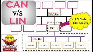 Difference Between CAN and LIN Bus  CAN vs LIN [upl. by Alvy]