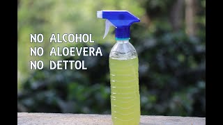 How To Make Disinfectant Spray  DIY Disinfectant Spray without using Alcohol [upl. by Margette]