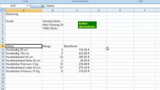 Excel VBA Mit VBABefehl im Makro das BildschirmFlackern ausschalten [upl. by Leahcar385]