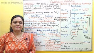 01 Introduction to Carbohydrate Metabolism  Metabolic Pathways of Carbohydrate  Biochemistry [upl. by Puto202]