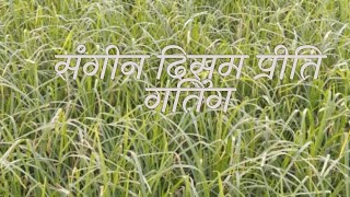 सांगिन दिशुम प्रीति मुण्डारी गीतSangin Dishum Priti Gating Mundari Song 2019 [upl. by Sugihara946]