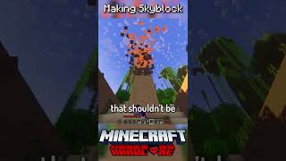 I Made Skyblock in Minecraft Hardcore 13 [upl. by Idnahs360]