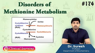 174 Disorders Of Methionine Metabolism [upl. by Webster171]