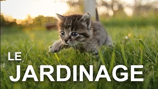 LE JARDINAGE  PAROLE DE CHAT [upl. by Goodard]