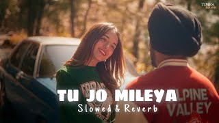 JUSS  Tu Jo Mileya Slowed amp Reverb MixSingh  New Punjabi Romantic Song 2024 [upl. by Roxana]