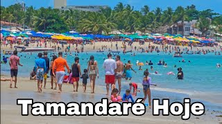 Tamandaré Pernambuco 17 De Novembro De 2024 Praias Lotadas Preços De Pousadas [upl. by Ees]