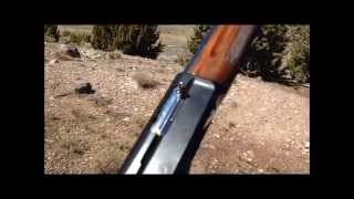 Franchi 48 AL 12 gauge shotgun quick intro and shoot jeffshootsstuff [upl. by Yonita59]