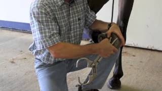 Basic Lameness Evaluation of the Horse [upl. by Waite]